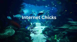 _Internet Chicks Unveiled A Deep Dive into the Online World